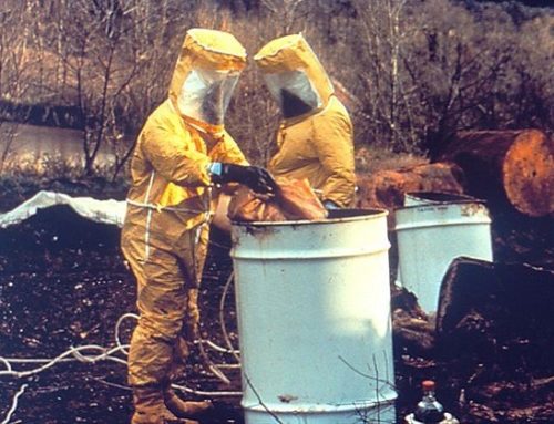 Hazard perception: what makes waste hazardous?