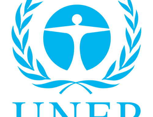 United in life and death: Maurice Strong and Mostafa Tolba