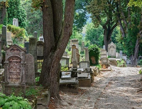 Beyond the grave: environmentalism and death