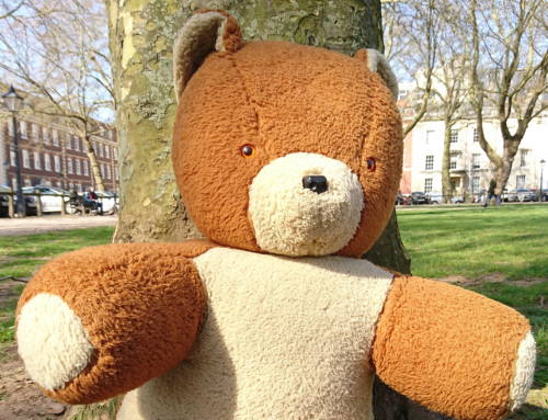Bear testimony: a teddy’s perspective on toy waste
