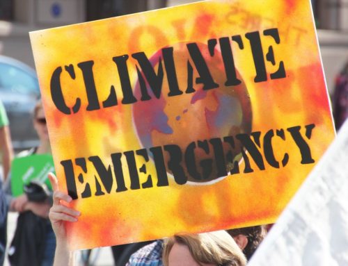 Five things to consider when declaring a climate emergency